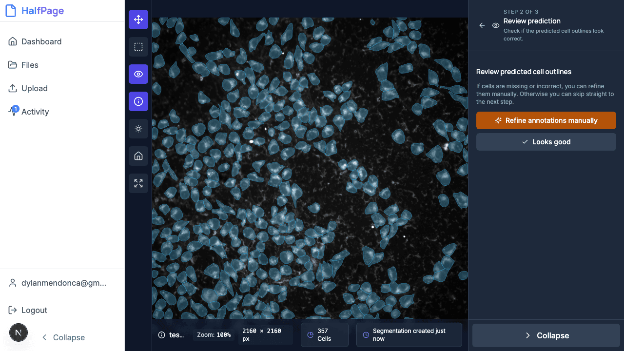 Image viewer showing cell segmentation and analysis tools